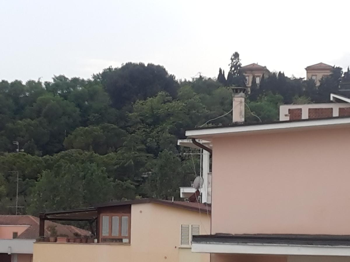 Hotel Antares Garni Giulianova Exteriör bild